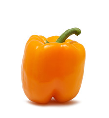 Pepper isolated on white