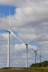 Fototapeta na wymiar Zielona energia w Turbiny wiatrowe polu słoneczników