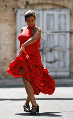 Red Dress Flamenco Dancer - 25853985