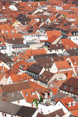 Fototapeta na wymiar rote dächer in heidelberg