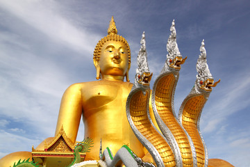 Obraz premium buddha