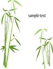 Naklejka premium bamboo tree background