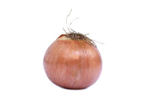 Bulbes d'oignons