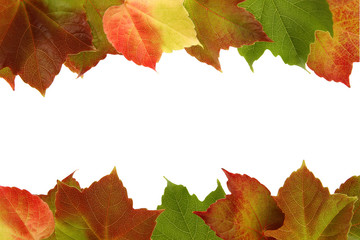 autumn background with free textspace