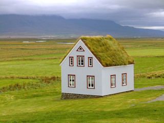 maison écologique avec un toit d'herbe