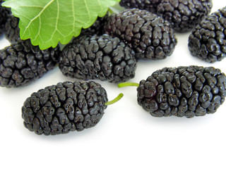 black mulberry isolated on white