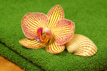 Spa and wellness with orchid flower
