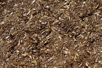 Posidonia algae seaweed dried texture mediterranean