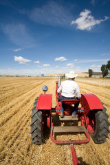A man in a cowboy hat drives a tractor in a field.