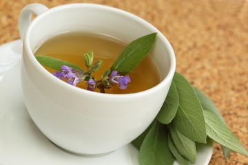 Teacup with herbal sage tea /Salvia officinalis/