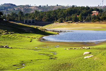 Obraz premium sequia