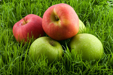Äpfel