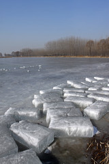 ice by the river