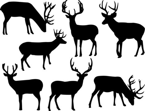 deers silhouette collection vector
