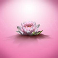 flaur de lotus