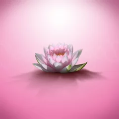 Photo sur Plexiglas fleur de lotus flaur de lotus