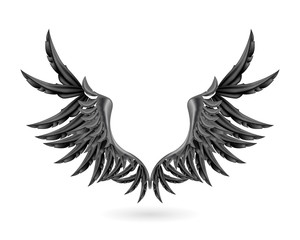 Black wings