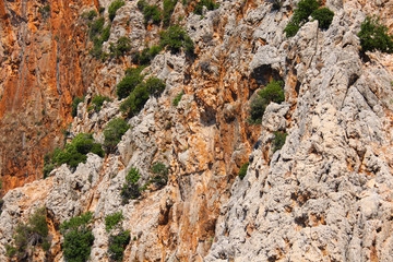 clear mountain landscape