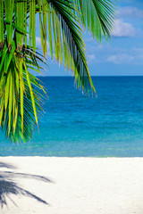 Paradise