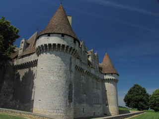 Fototapeta na wymiar Zamek Monbazillac; Dordogne, Akwitania