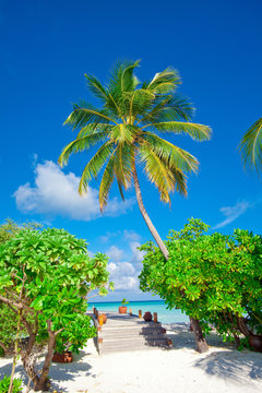 Holiday Paradise