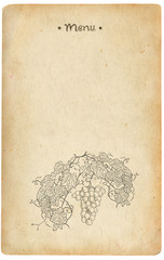 Vineyard illustration