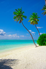Obraz premium Holiday Paradise