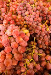 Red grapes.