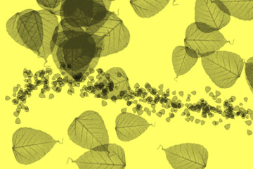 Abstract Autumn Postcard