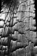 Burnt wooden planks in close up - background