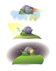 Snail`s