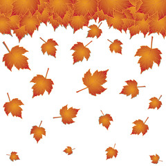 Fototapeta premium Autumn background