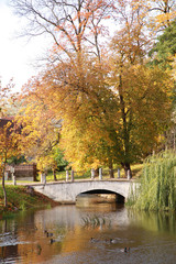 Obraz premium bridge1
