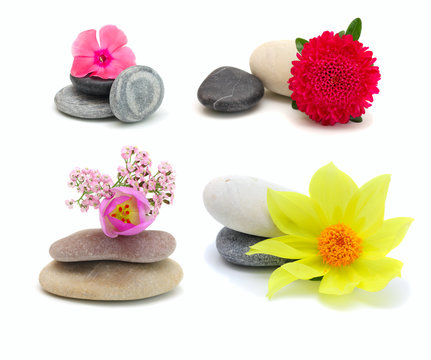 Flowers and stones, isolated on white.