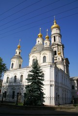Fototapeta na wymiar The Ukrainian church