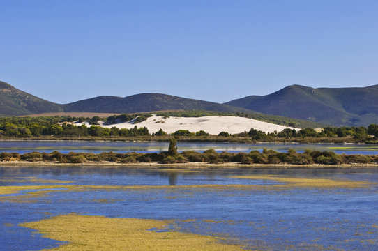 Sardinia beach with dunes. teulada