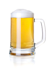 Cold lager beer