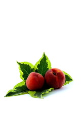 Ripe fruit, autumnal harvest time