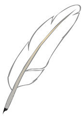 Vector illustration a white feather of a bird in the form of the