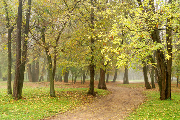 Autumn park
