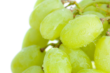grapes with drops of water isolated on white