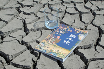 a book and a cup in the dry land