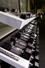 weights on shelf in a gym