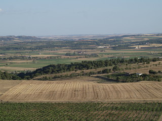 Fototapeta na wymiar Vista aerea de Toro (Zamora) y su campo