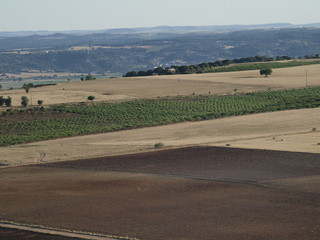 Obraz premium Vista aerea de campo de Toro (Zamora)