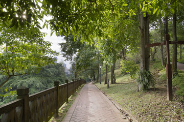 Walking Trail at Fort Canning Park
