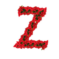 Letter from the red flowers