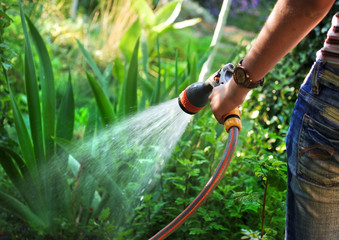 Watering garden - 25905160