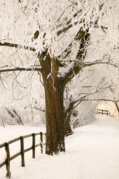 Verschneit
