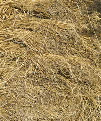 Straw background.